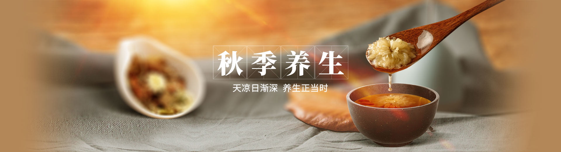 编程网络技术爱好者中心-神域博客网